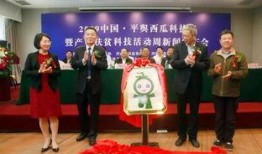 今日西瓜爆料新闻,揭秘今日热点事件背后的真相